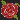 Red Rose