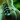 monster sexy lady Badge 2 2013-07-17 14:28:18
