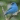 Bird2