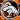 bronco fan Rose