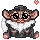 Cute Critter