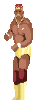Hulk Hogan