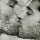 Gay Kiss