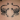 blank badge 2 2013-07-17 14:32:54