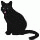 my black cat 14-2-18