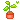 Little Plant