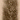 blank badge 2 2013-07-17 14:35:20