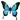 borboleta azul