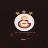ES8
