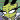 Invader Zim (Irken Mai)