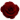 Rose Support