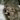 blank badge 1 2013-07-17 14:37:35