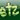 etz2