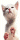 Kitten Lick